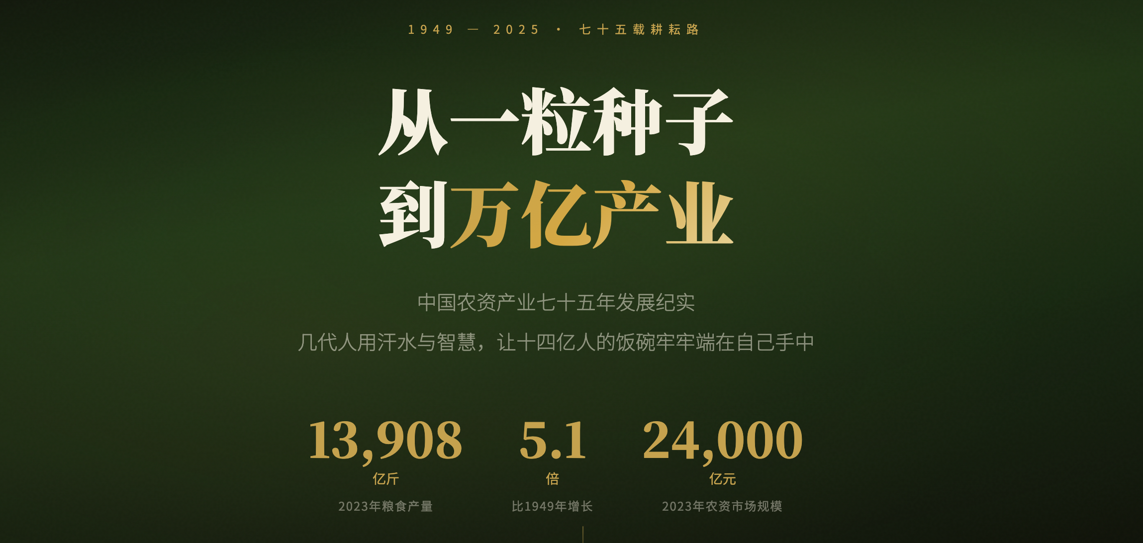 中国农资产业发展史